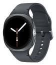 Samsung Galaxy Watch8 40 mm LTE EU silver black